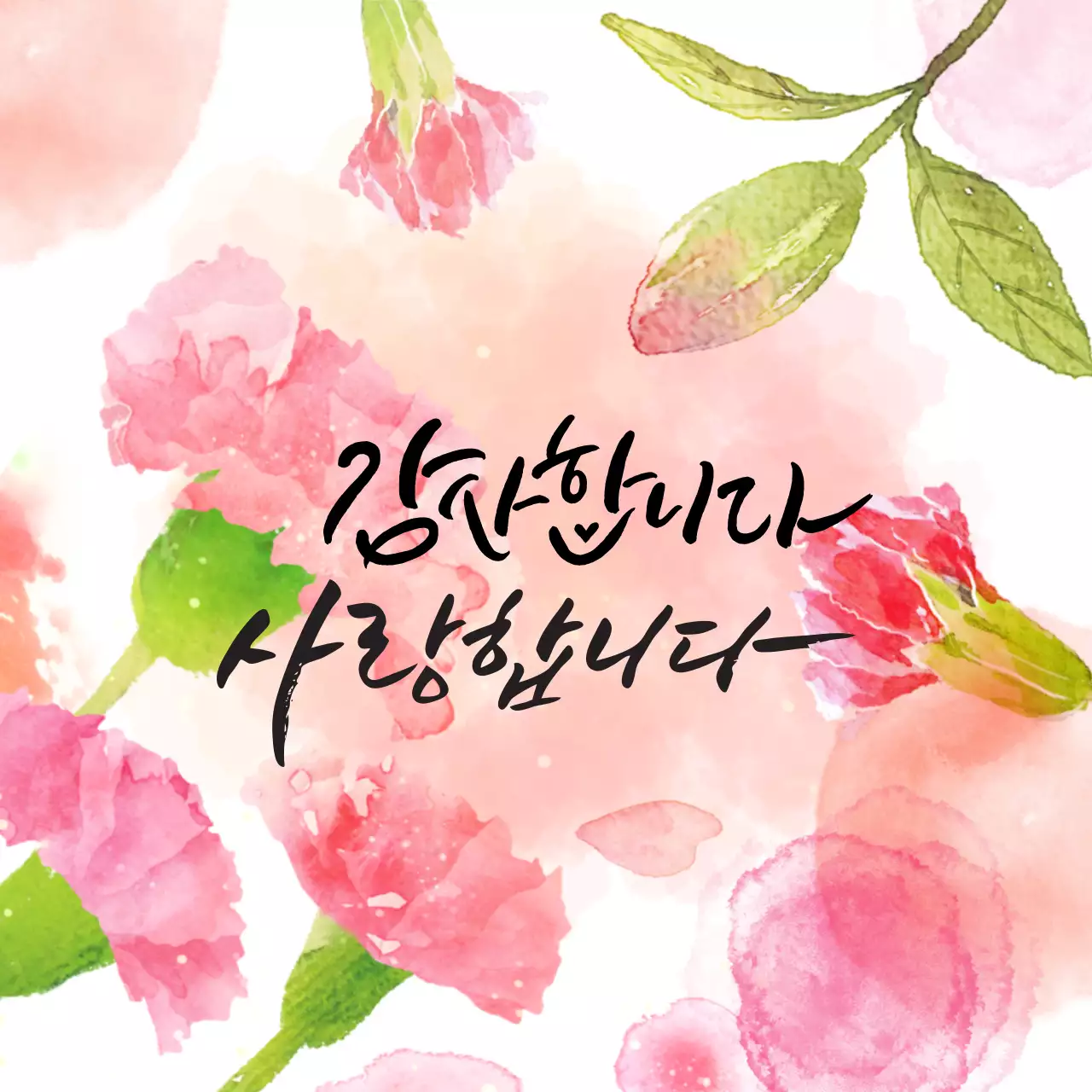 Ngày Cha Mẹ ngập tràn yêu thương và tri ân qua hoa cẩm chướng