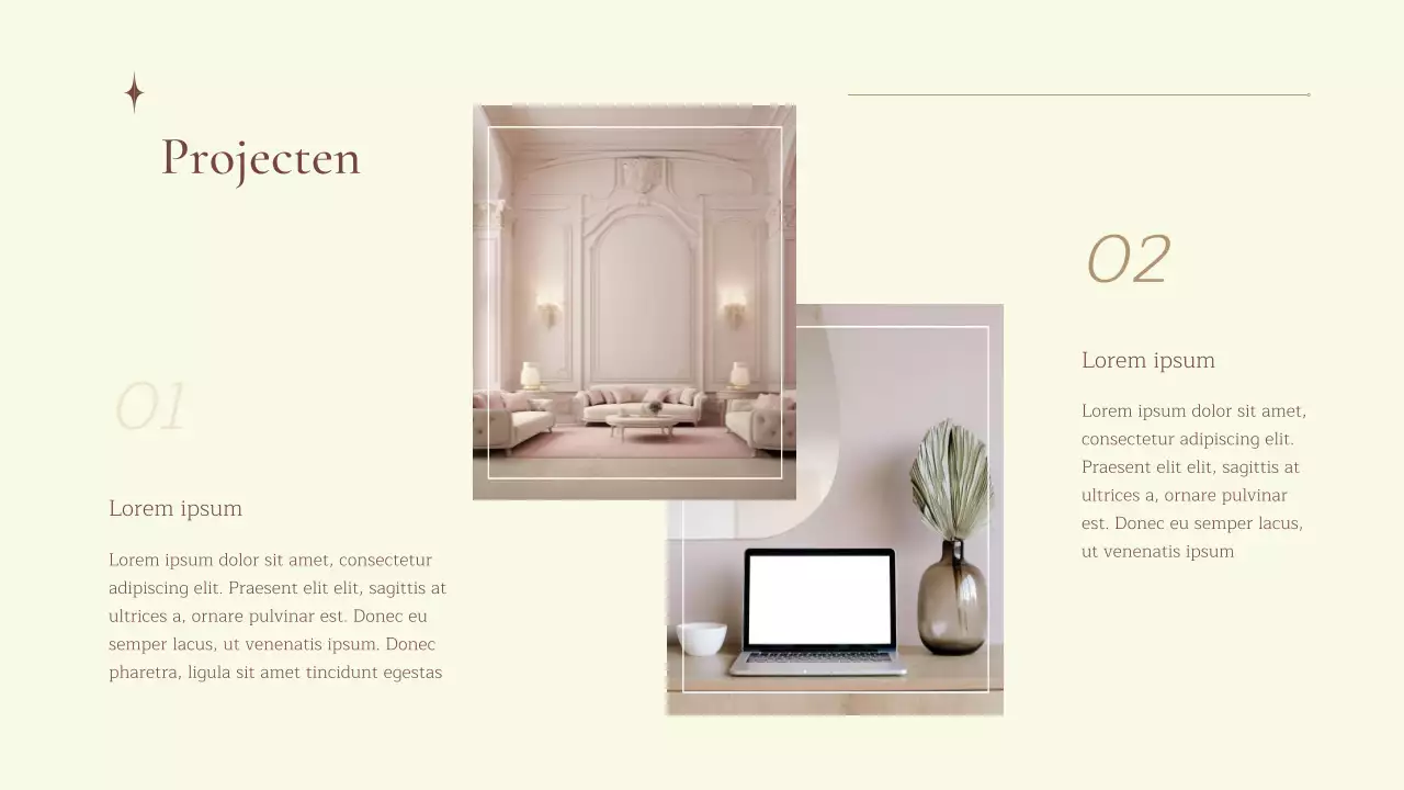 Introductie van het bedrijf Beige Natural