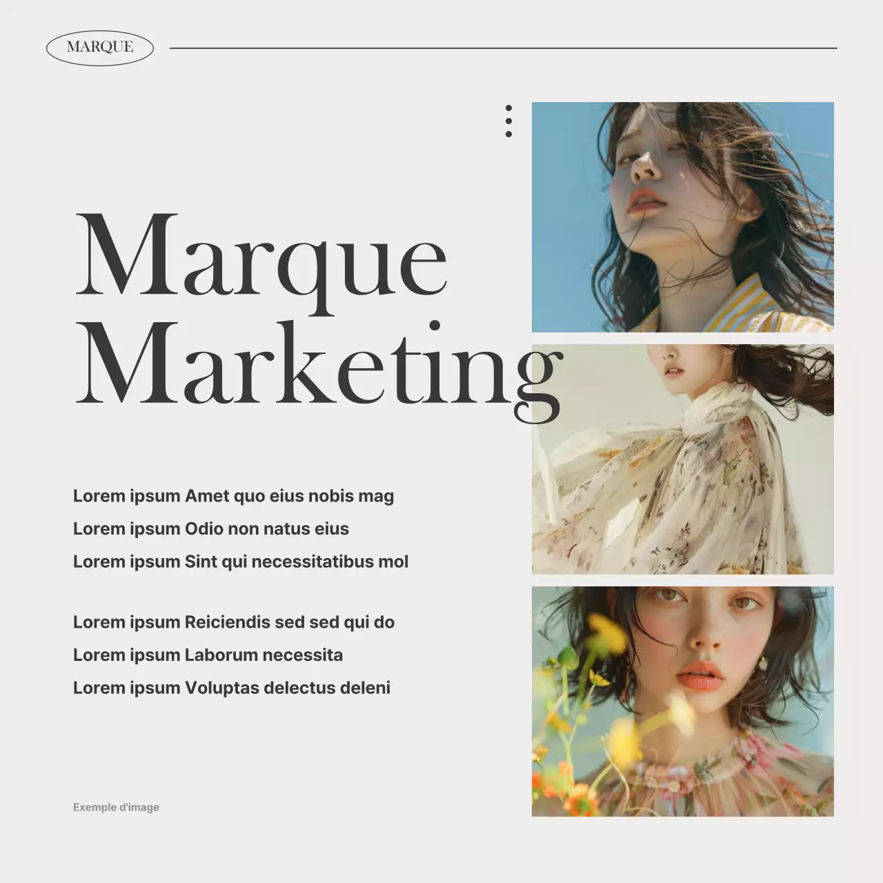 Promouvoir le flux de marque moderne d'Ivory