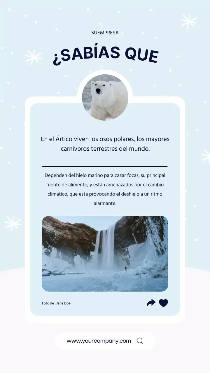 Azul Simple Polar Bear Arctic Fact Publicity