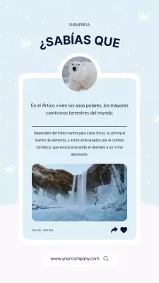 Azul Simple Polar Bear Arctic Fact Publicity