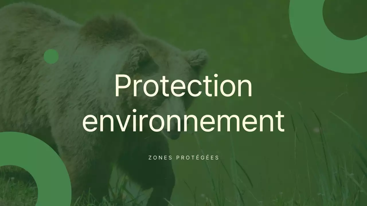 Matériau de classe de protection de l'environnement vert et moderne