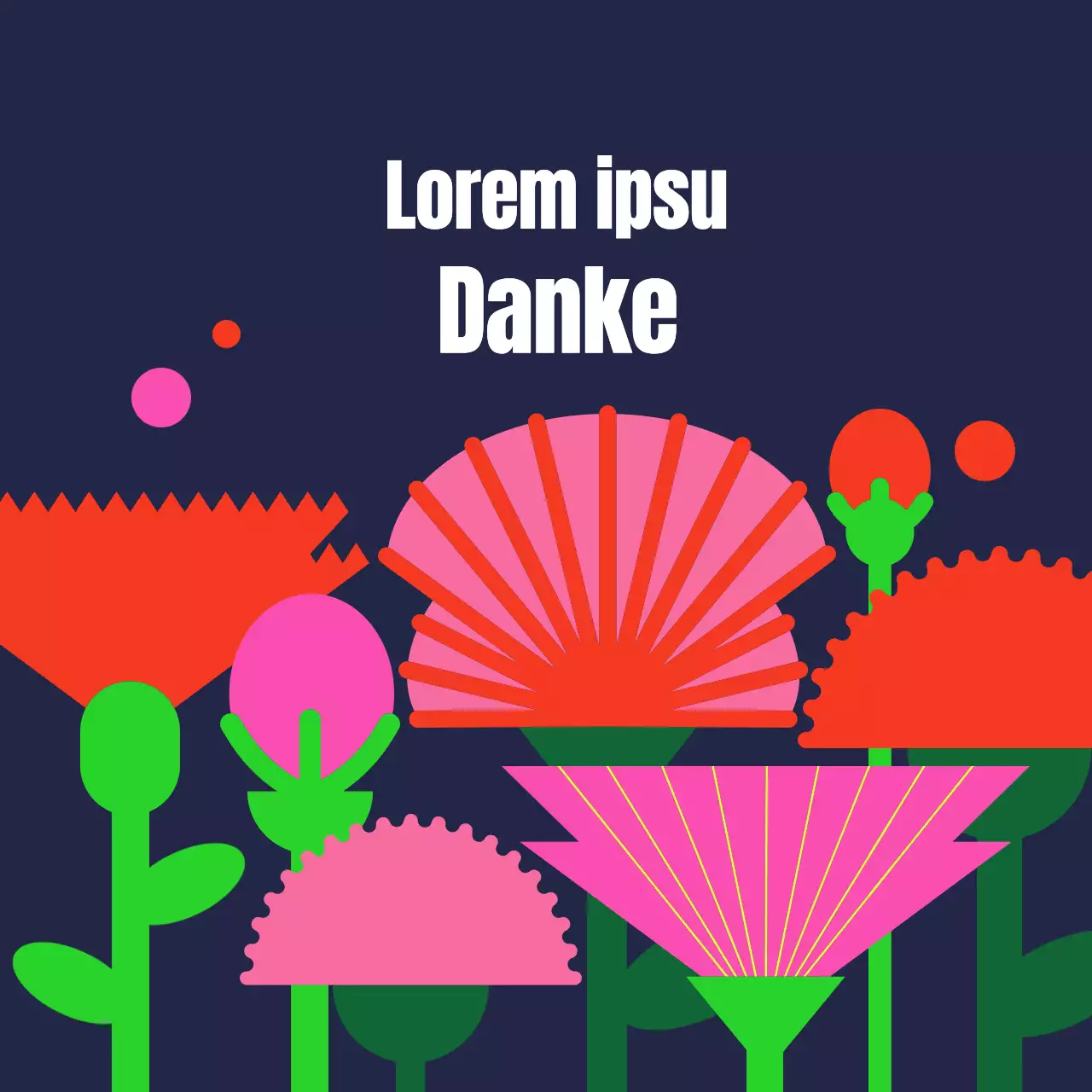 Ein Feld von Teacher's Day Nelken auf einem dunklen Hintergrund