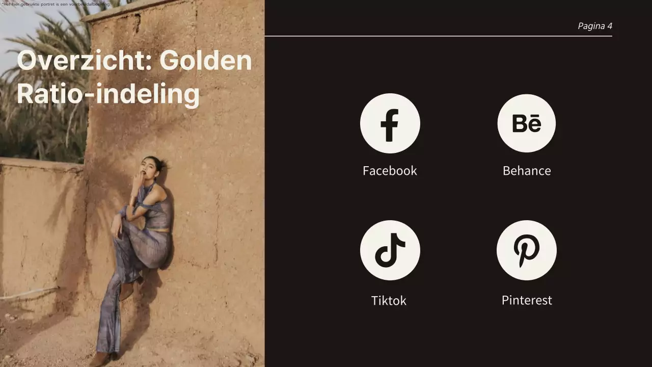 Trend Presentatiepagina's in beige en zwart met verschillende indelingen Product Pitch