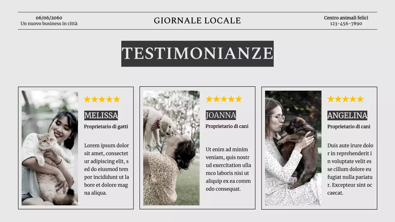 Introduzione dell'azienda Grey Classic Pet Business