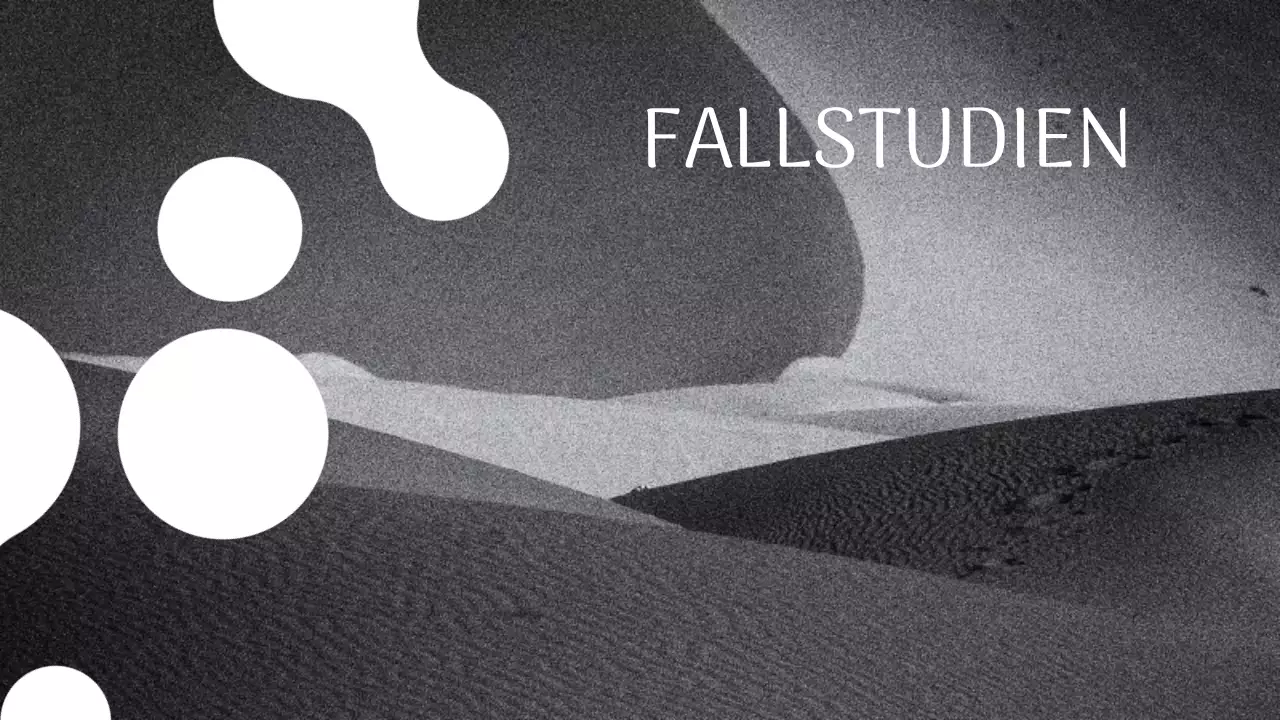 Schwarz-Weiß Modern Photographer Einführung Portfolio