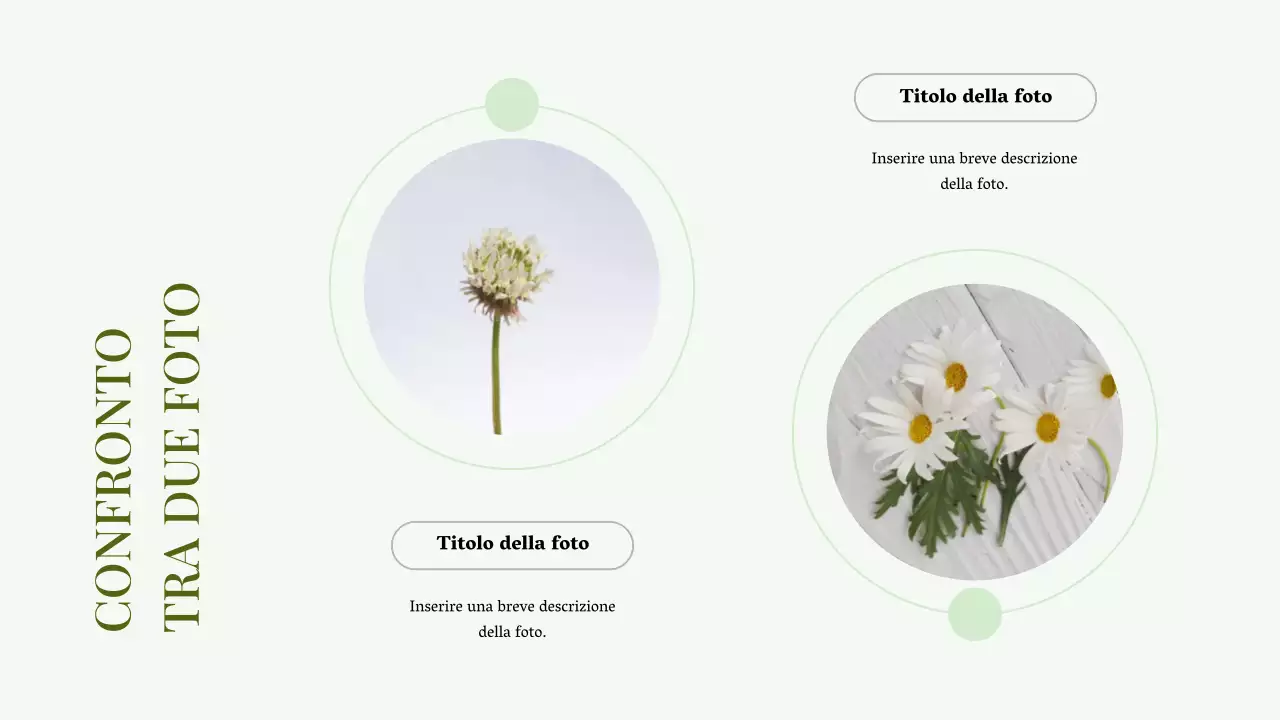 Verde Collage di foto minimale Presentazione Portafoglio d'affari