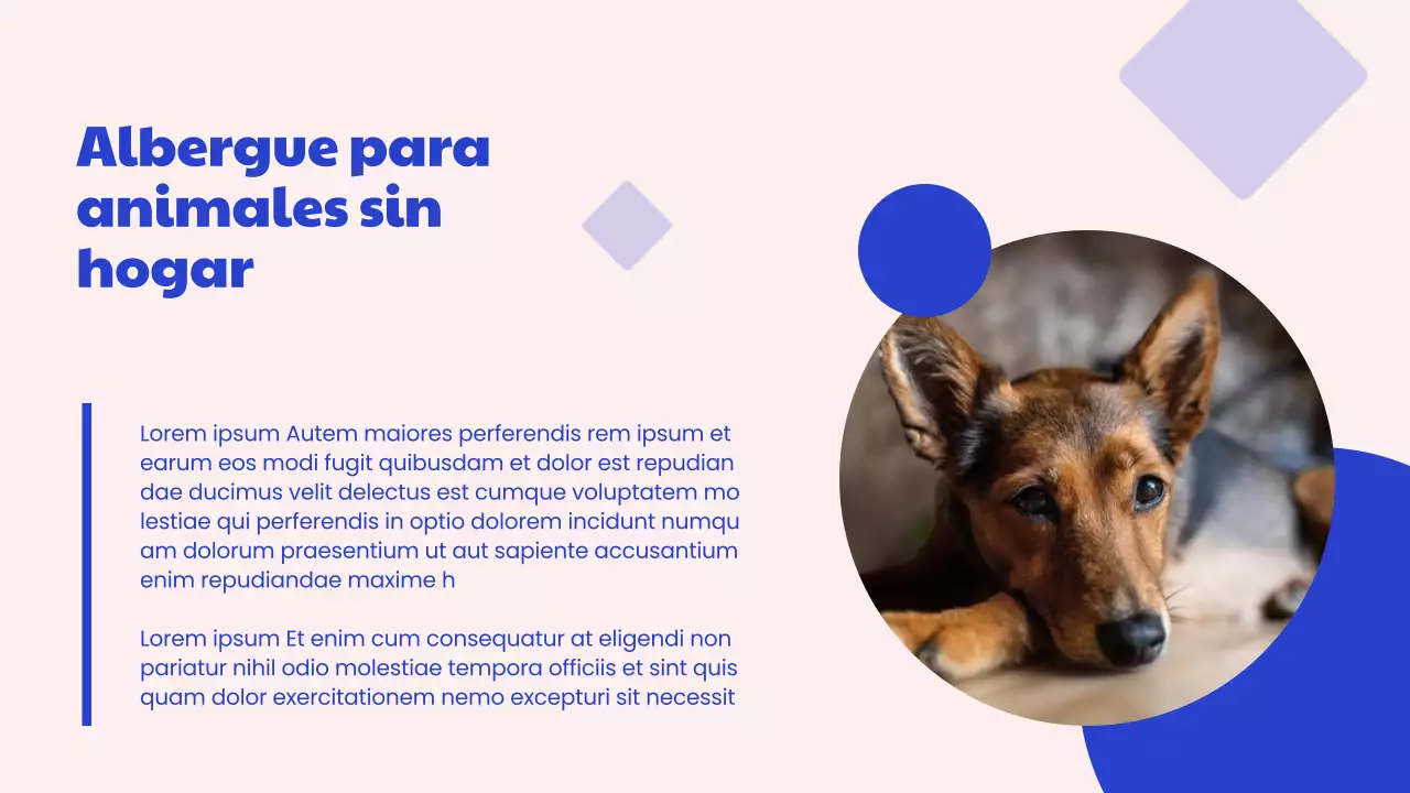 Campaña del Centro de Adopción Moderno Azul y Rosa