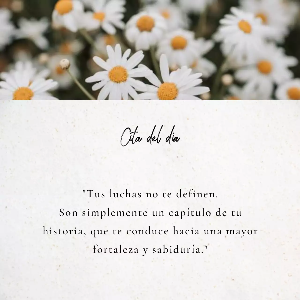 Grey Simple Motivational Quotes Publicidad