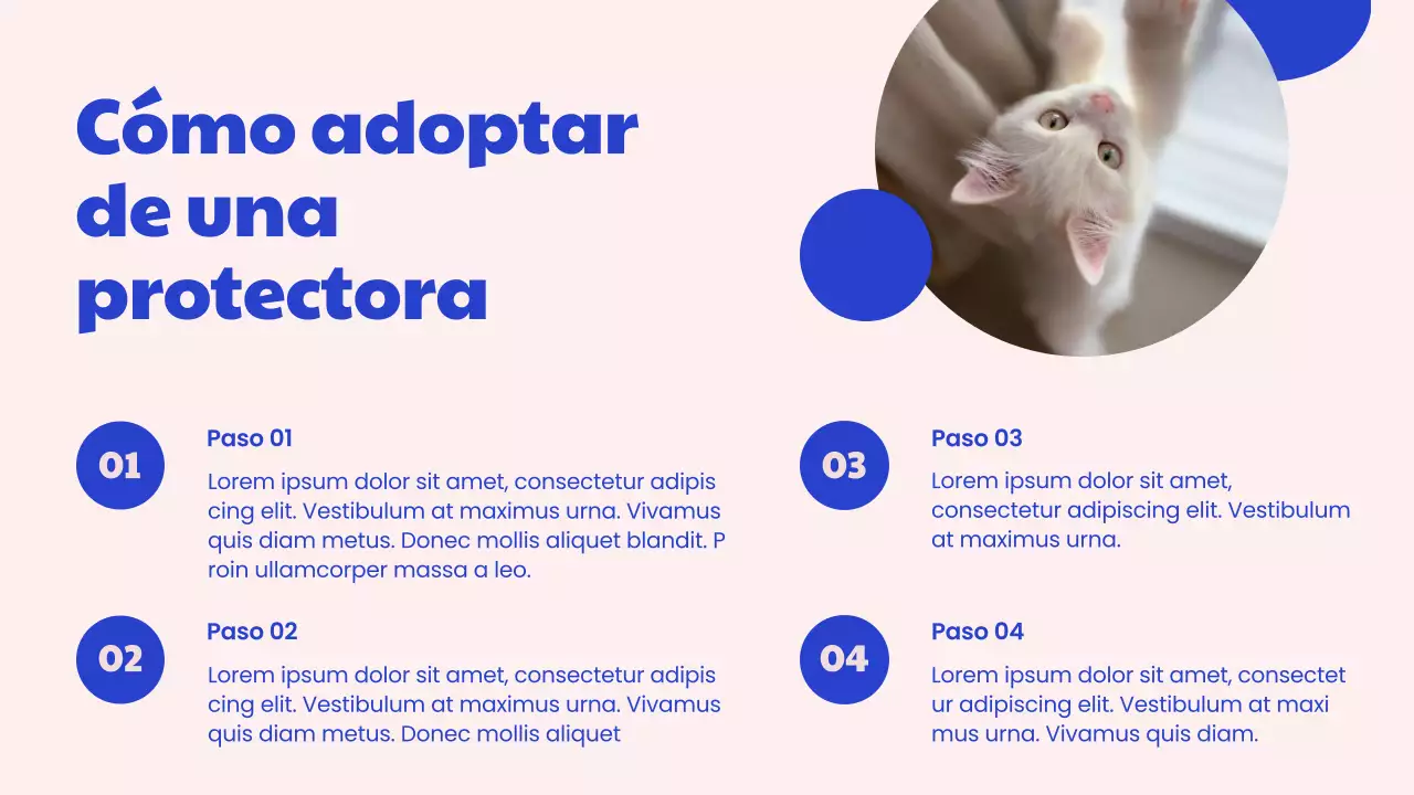 Campaña del Centro de Adopción Moderno Azul y Rosa