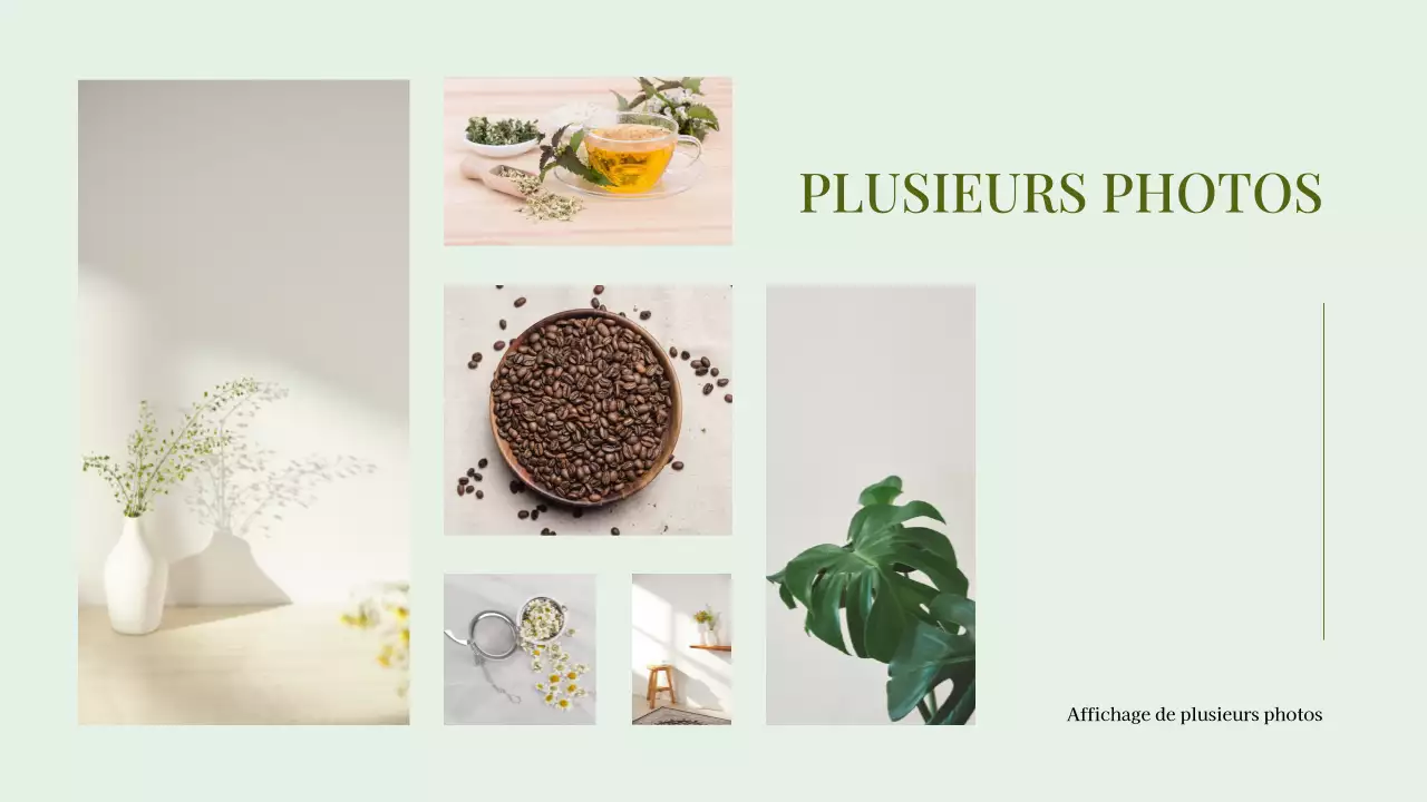 Collage de photos minimales vertes Présentation d'un portefeuille d'entreprise