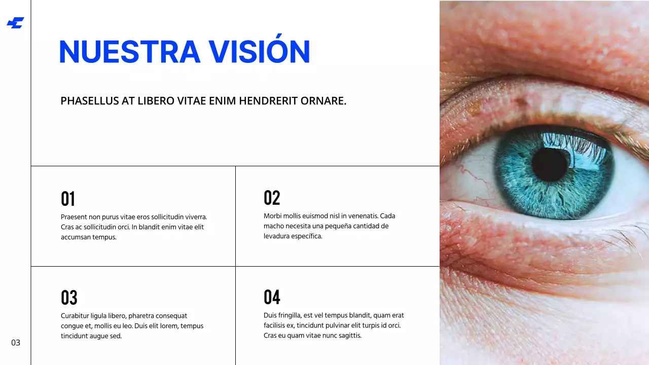 Blanco Azul Negrita Tono frío Limpio Directrices de identidad de marca Instrucciones