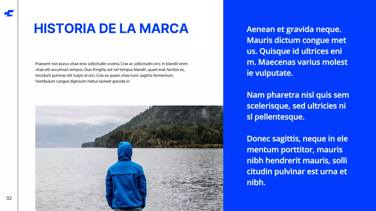Blanco Azul Negrita Tono frío Limpio Directrices de identidad de marca Instrucciones