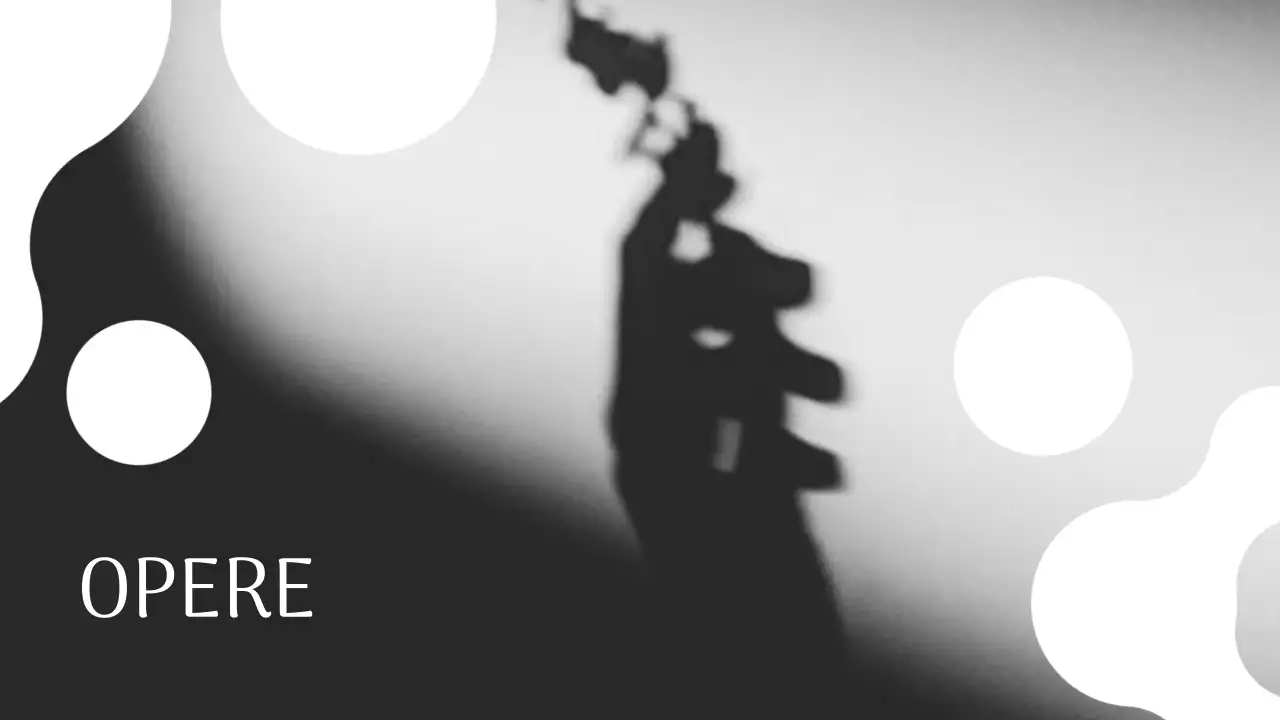 Portafoglio di presentazione del fotografo moderno in bianco e nero