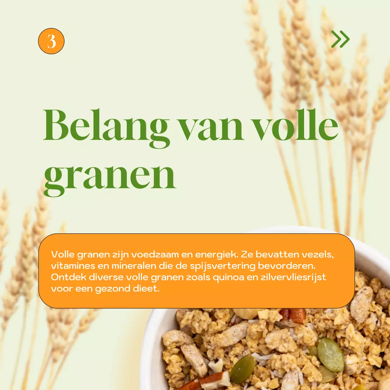 Groen Natuurlijk Gezond Strategie