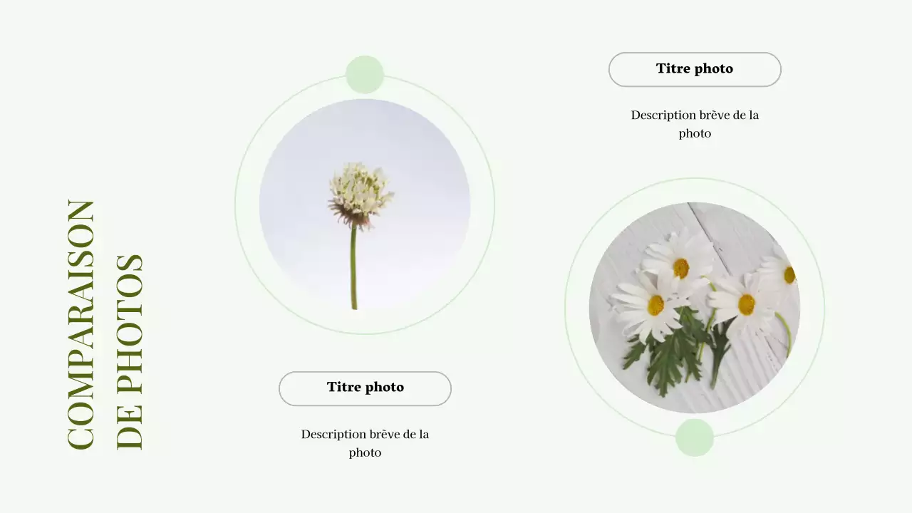 Collage de photos minimales vertes Présentation d'un portefeuille d'entreprise