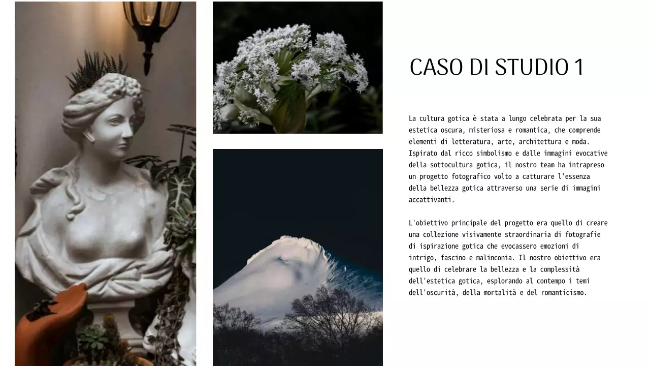 Portafoglio di presentazione del fotografo moderno in bianco e nero