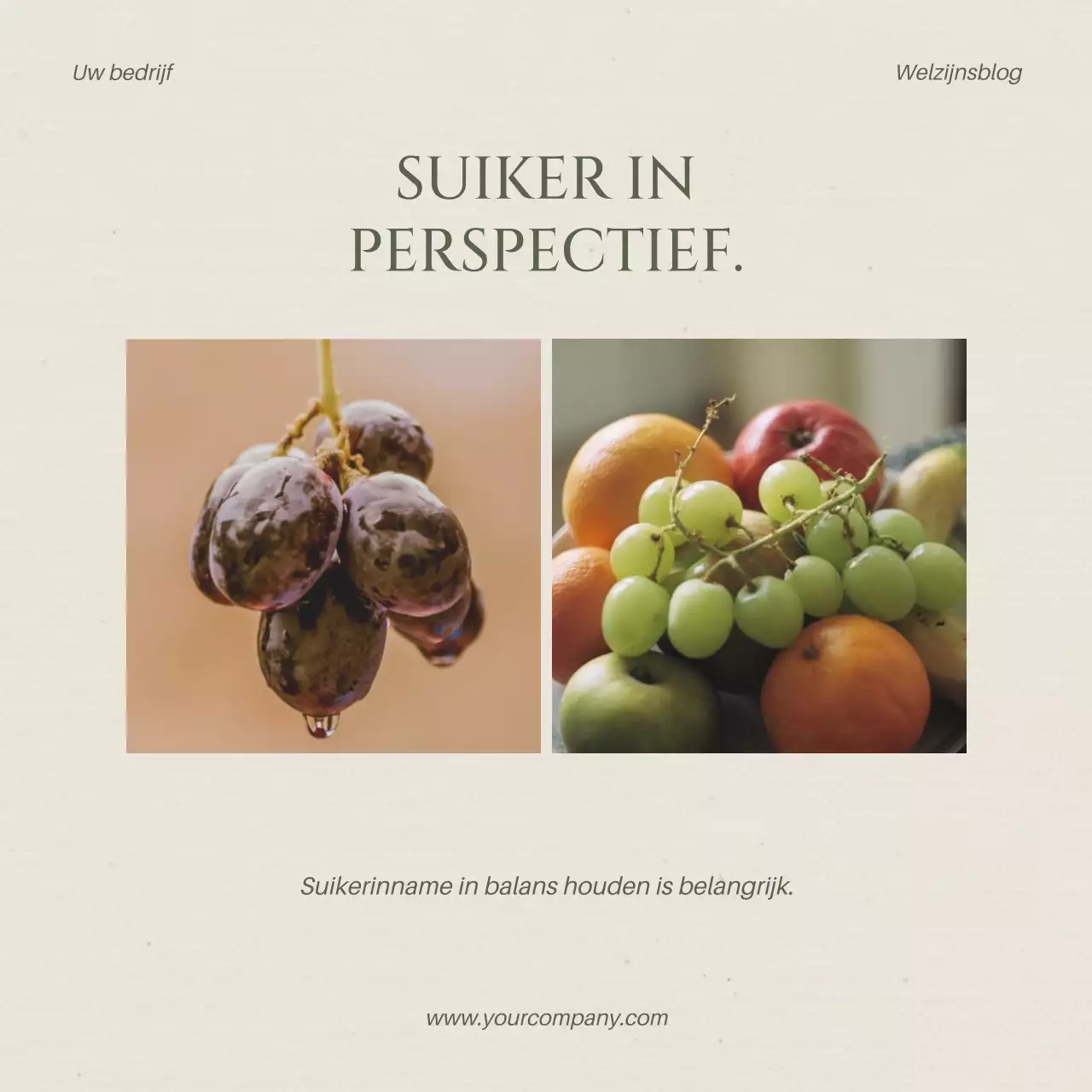 Beige en Khaki Moderne Gezonde Lifestyle Blog Promotie