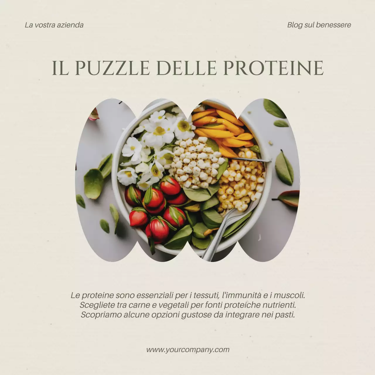 Promozione del blog sullo stile di vita sano e moderno Beige e Khaki