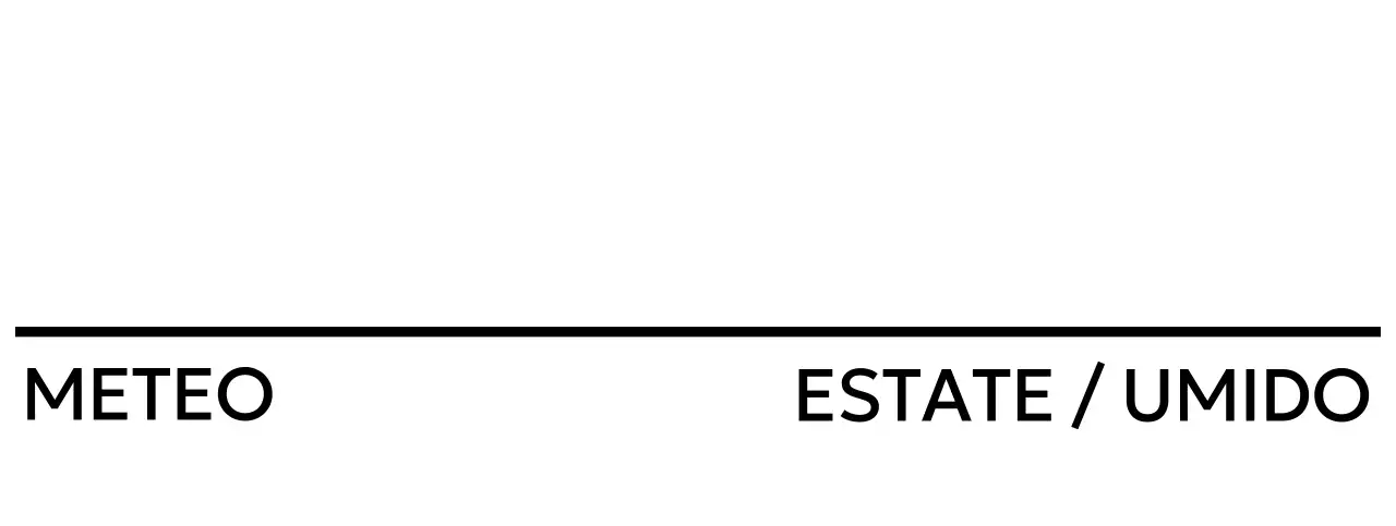 Progettazione di un layout di tre linee di caratteri tipografici