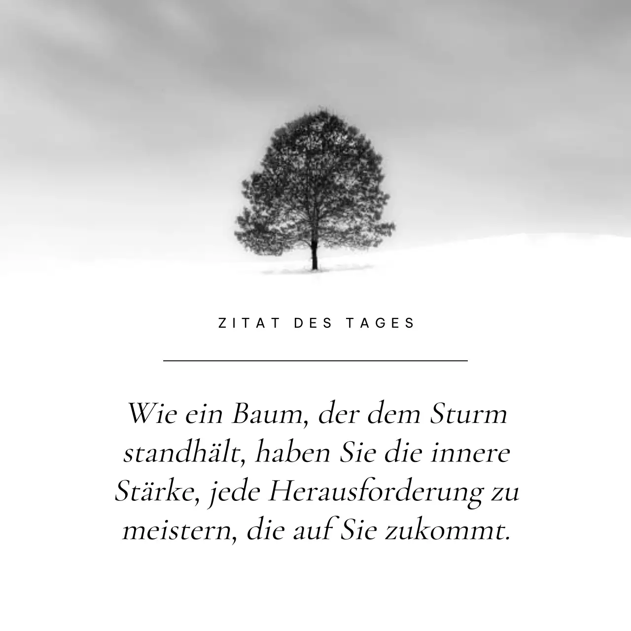 schwarz und weiß einfach inspirierende Zitate Werbung