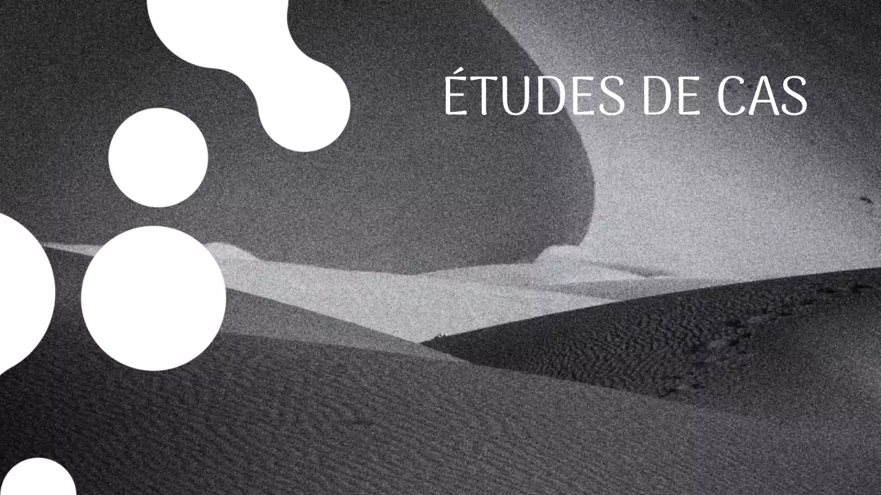 Photographe moderne en noir et blanc Introduction Portfolio