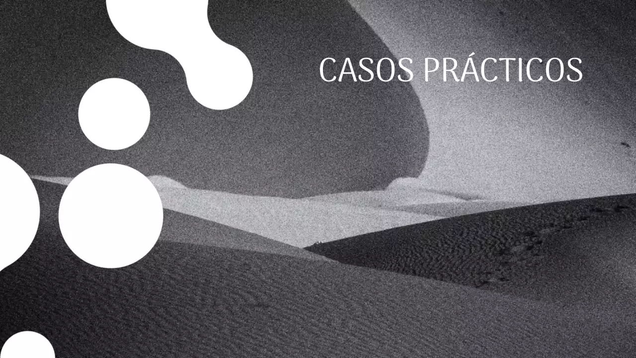 Blanco y Negro Fotógrafo Moderno Presentación Portafolio