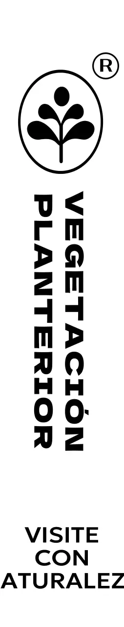 Sencillas y bonitas macetas con ilustraciones de hojas