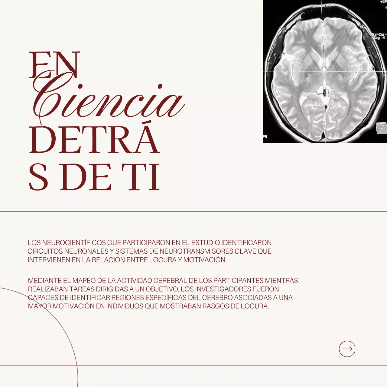 Marfil y rojo Minimal Medical Insight Introducción