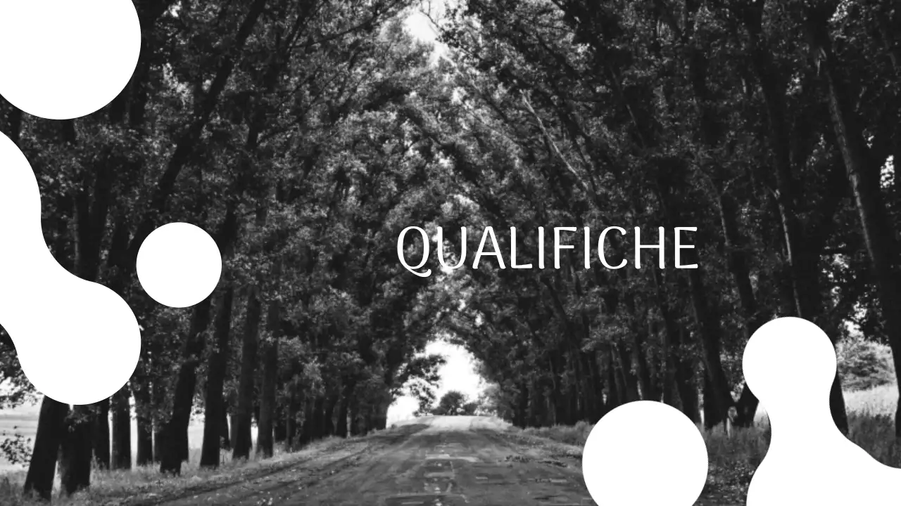 Portafoglio di presentazione del fotografo moderno in bianco e nero