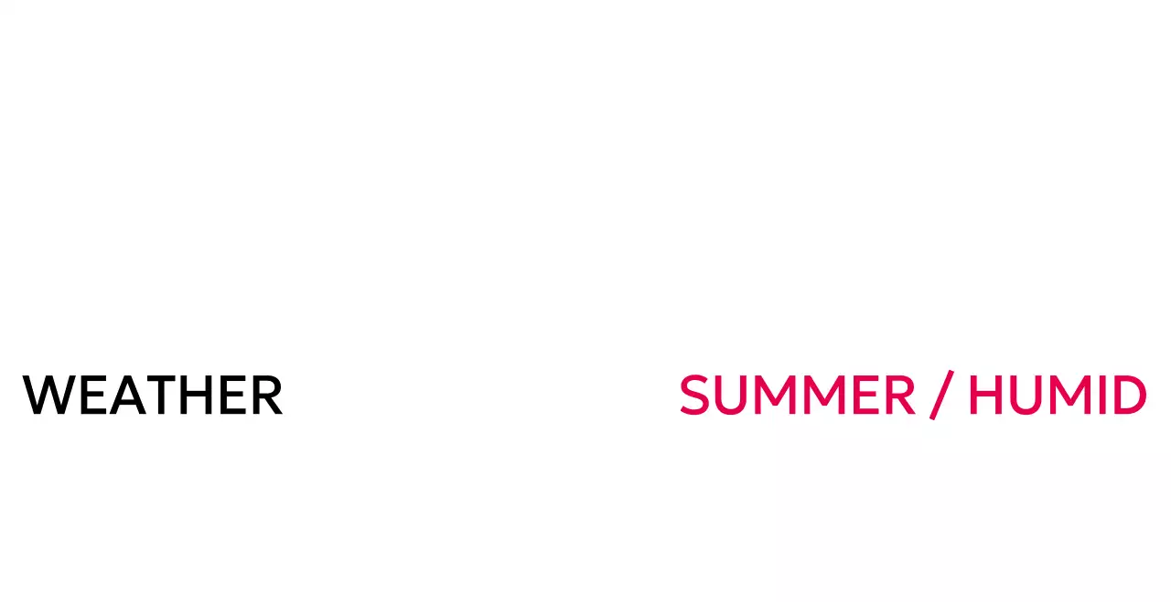 文字列型の3行書体配置デザイン