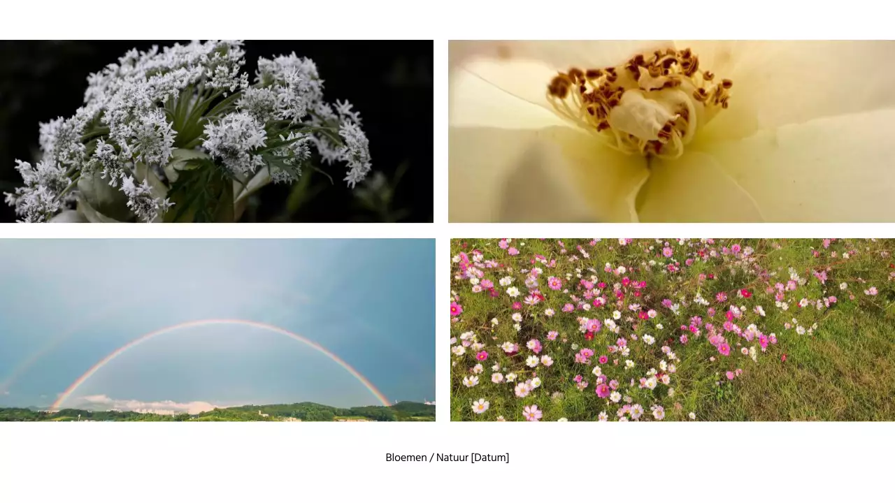 Zwart-wit moderne fotograaf introductie portfolio