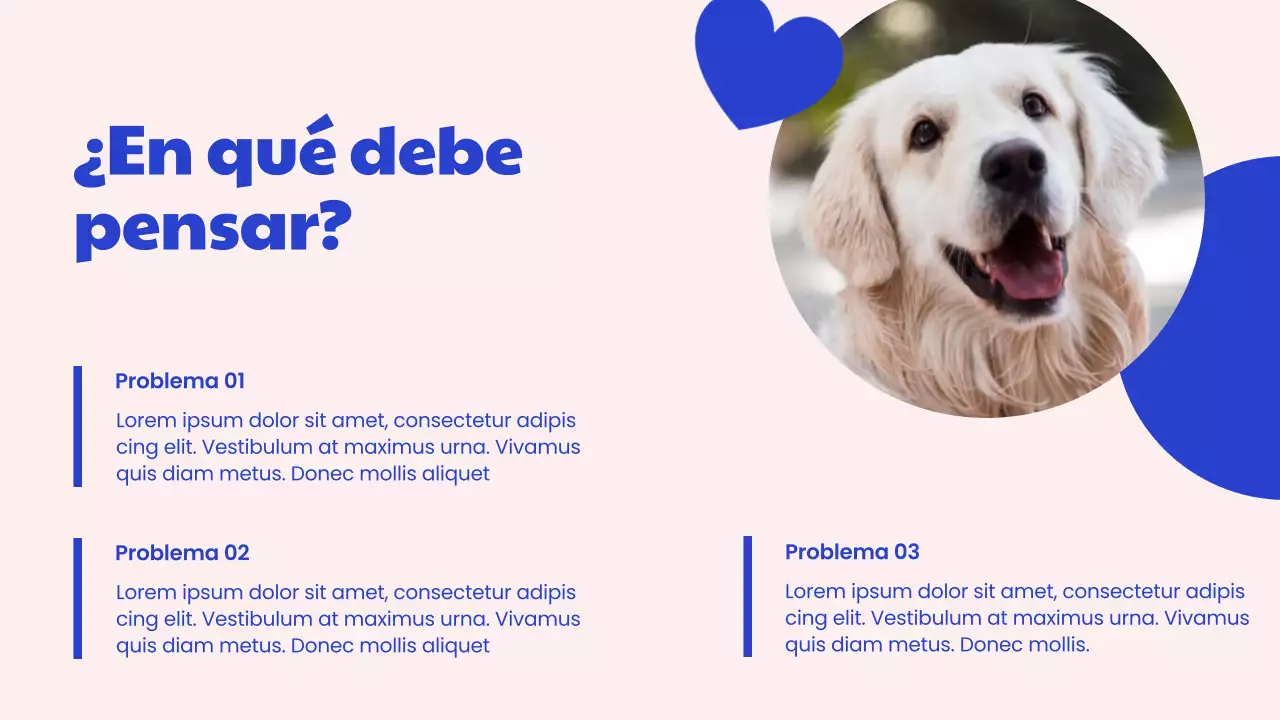 Campaña del Centro de Adopción Moderno Azul y Rosa