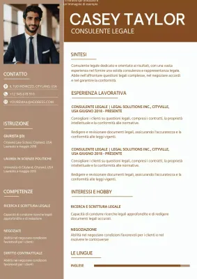 Portafoglio di consulenti legali semplici in bianco e marrone