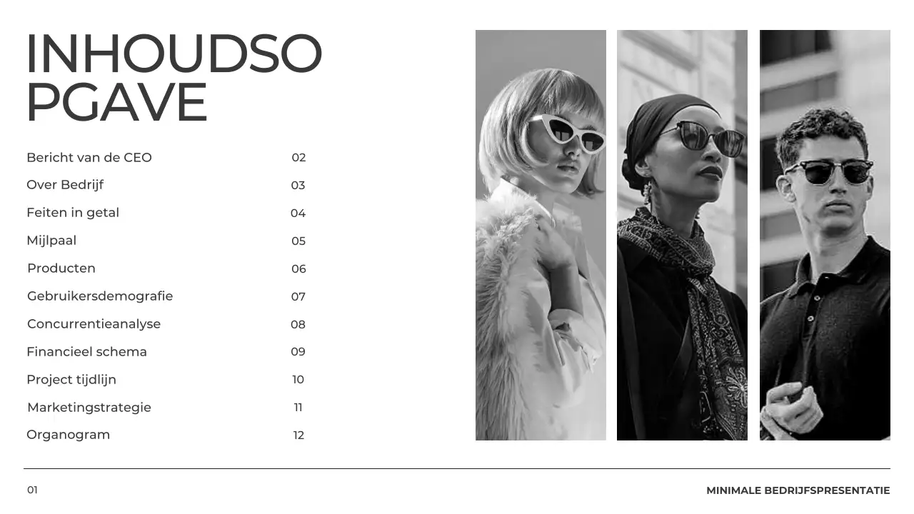 Zwart-wit Minimal bedrijfsprofiel Product Pitch