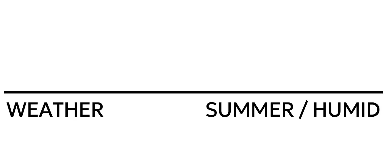 thiết kế bố cục phông chữ 3 dòng