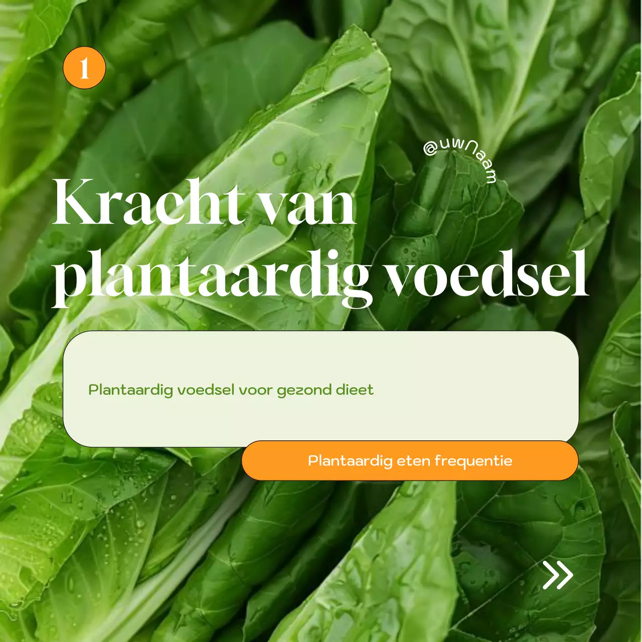 Groen Natuurlijk Gezond Strategie