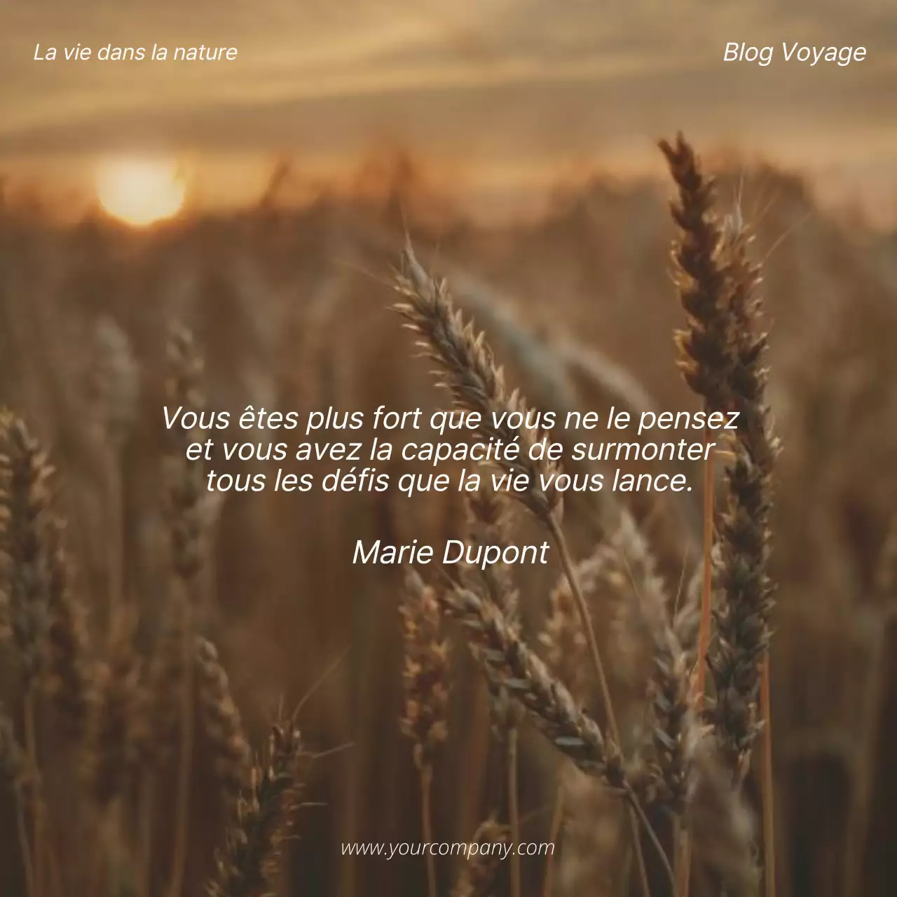 Beige and Brown Natural Inspirational Quote Blog Promotion