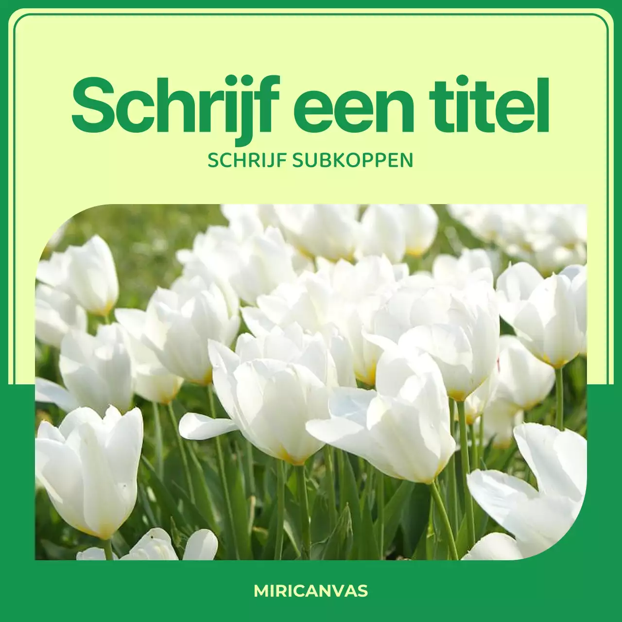 Minimalistische voorjaarsachtergrond in geel en blauw