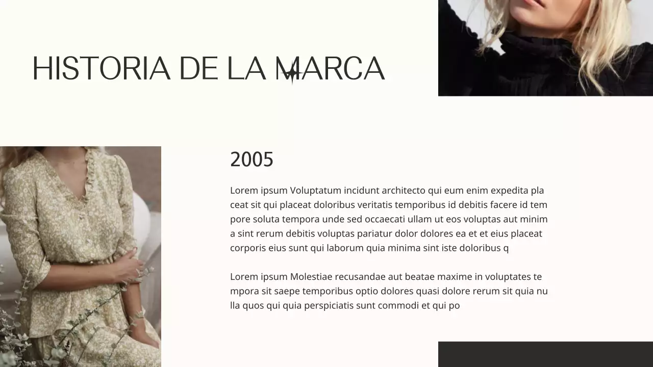 Beige y Negro Elegante Marca de Moda Product Pitch
