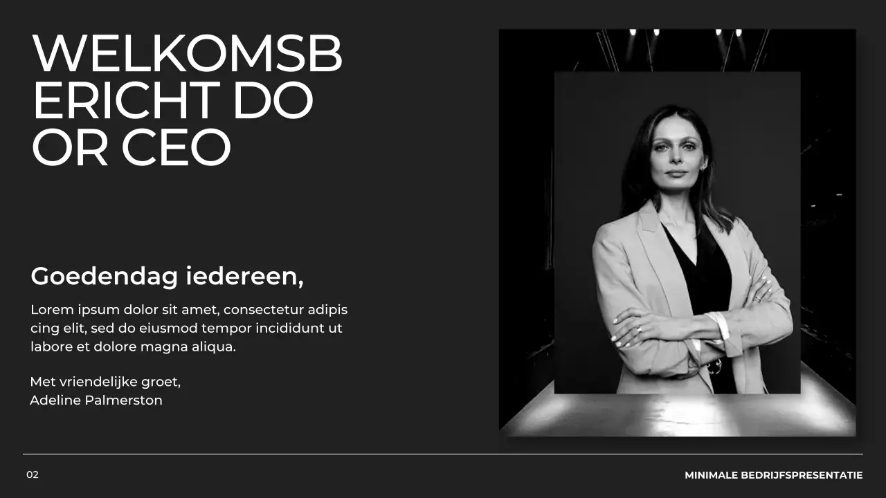 Zwart-wit Minimal bedrijfsprofiel Product Pitch