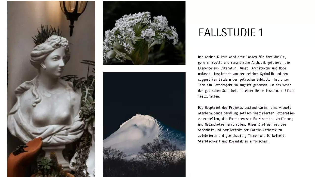 Schwarz-Weiß Modern Photographer Einführung Portfolio