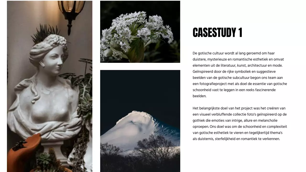 Zwart-wit moderne fotograaf introductie portfolio