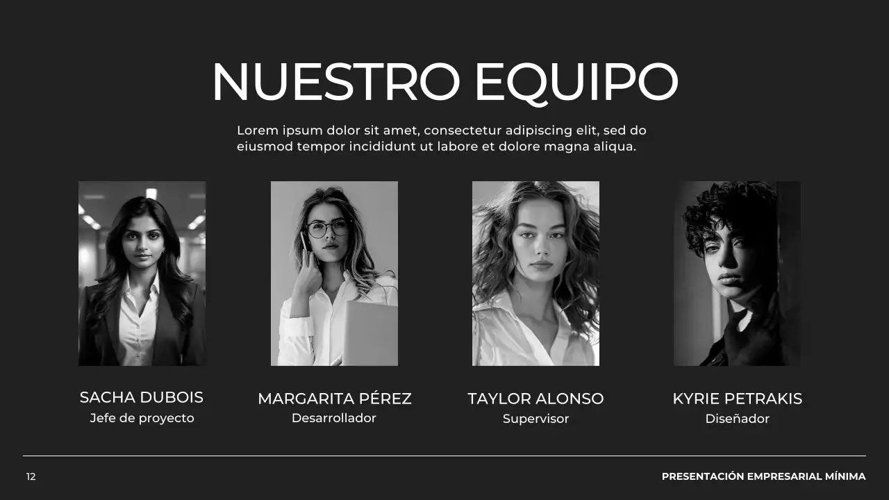 Blanco y negro Perfil empresarial mínimo Presentación de producto