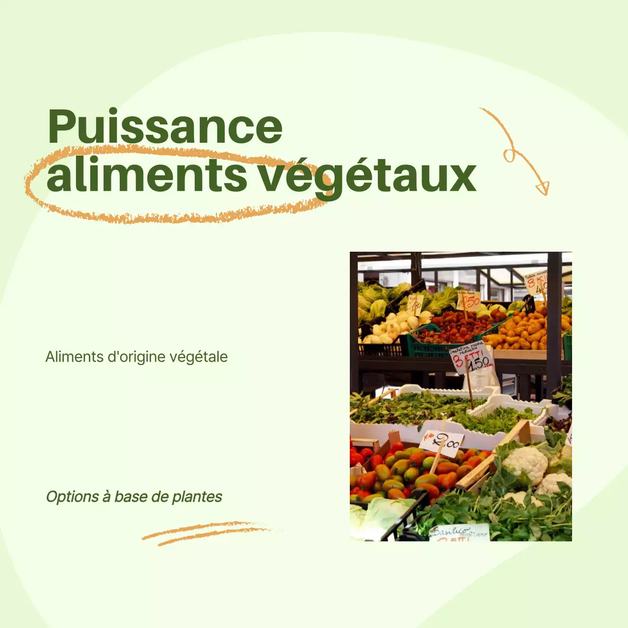 Guide alimentaire vert et orange pour une alimentation saine et moderne