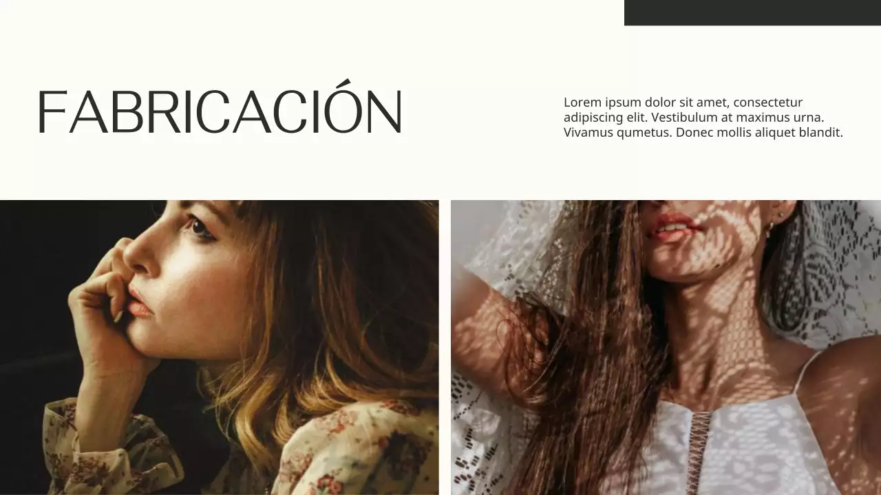 Beige y Negro Elegante Marca de Moda Product Pitch