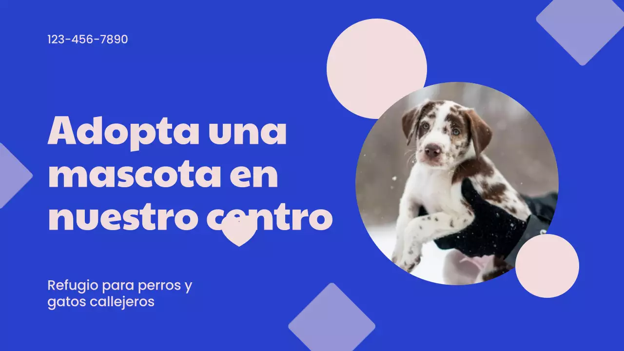 Campaña del Centro de Adopción Moderno Azul y Rosa