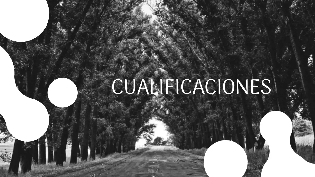 Blanco y Negro Fotógrafo Moderno Presentación Portafolio