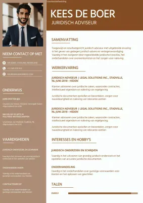 Portefeuille Bruine en Witte eenvoudige juristen