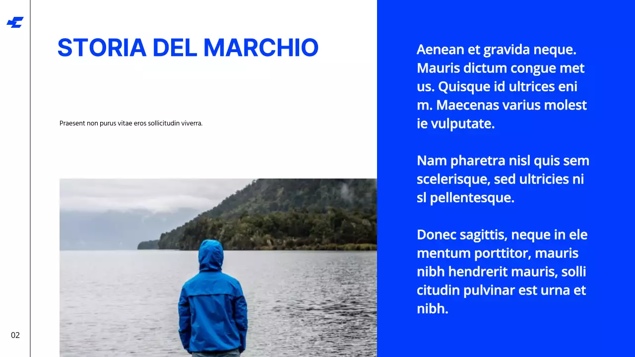 Bianco Blu Grassetto Tono freddo Pulito Linee guida dell'identità del marchio Istruzioni